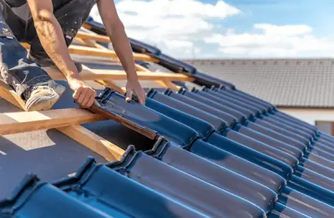 Couverture - Blennes