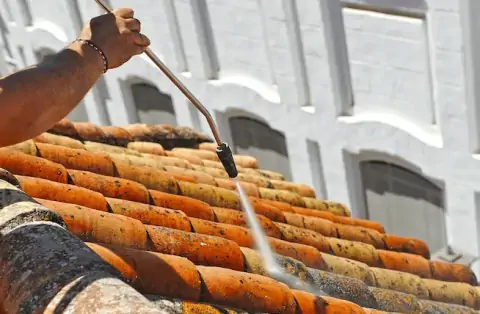 Nettoyage de toitures - Blennes